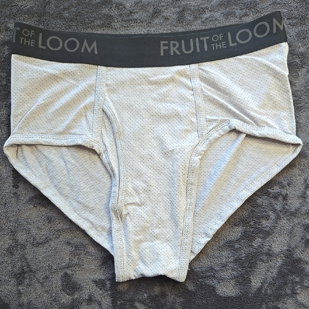 Fruit of the Loom Gray Briefs with Elastic Waistband